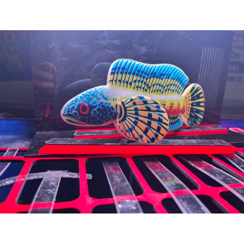 Snakehead fish embankment model | Shopee Malaysia