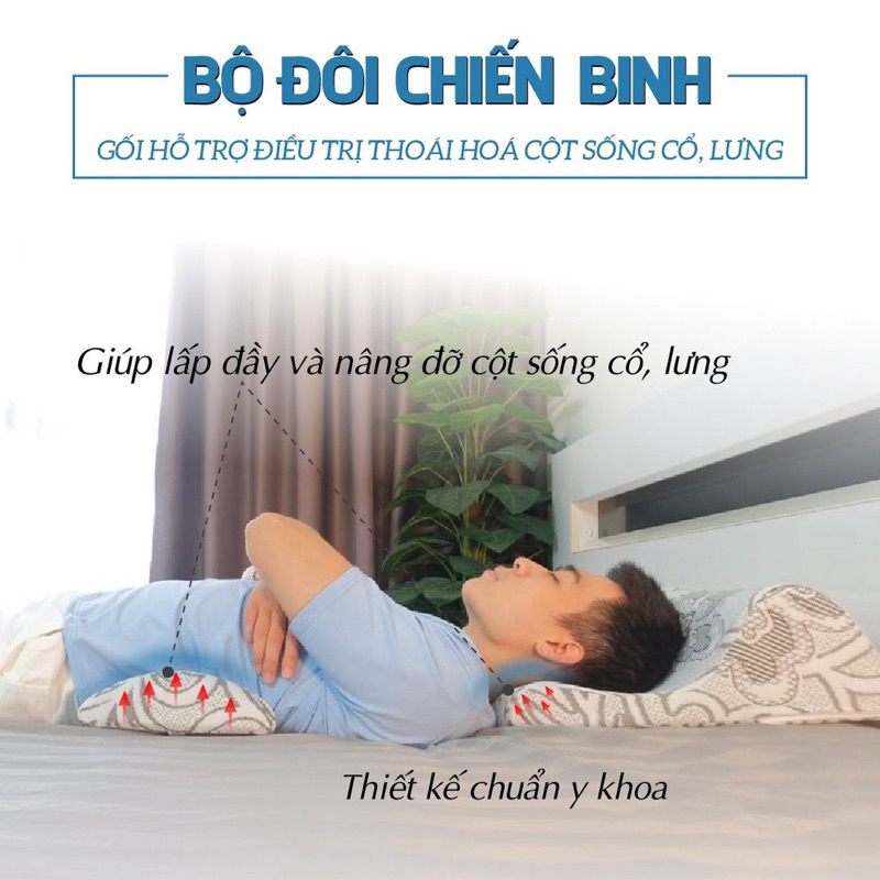 Combo 2 degenerative pillows of cervical spine & backrest of AIRU disc