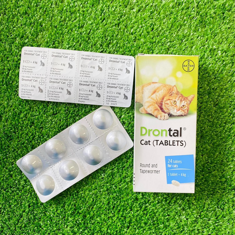 Drontal Cat Cat Worm Removal Tablet (1 Tablet) Shopee Malaysia
