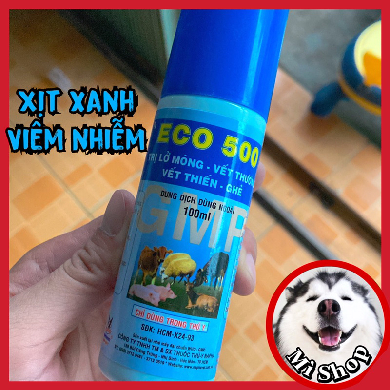 Eco 500 Antiseptic Sprays, Pig Infections, Buffaloes, Cows, Chickens