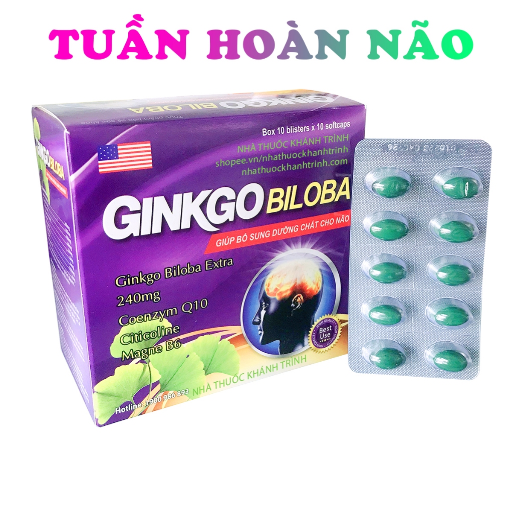(100 Tablets) GINKGO BILOBA Brain Supplement Supports Cerebral Blood