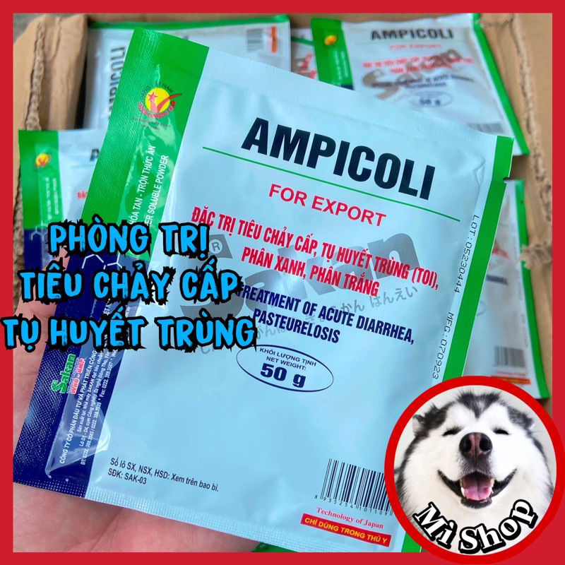 Ampicoli Pack Of 50 Grams Of Diarrhea, Hemorrhage, Green Stools, White