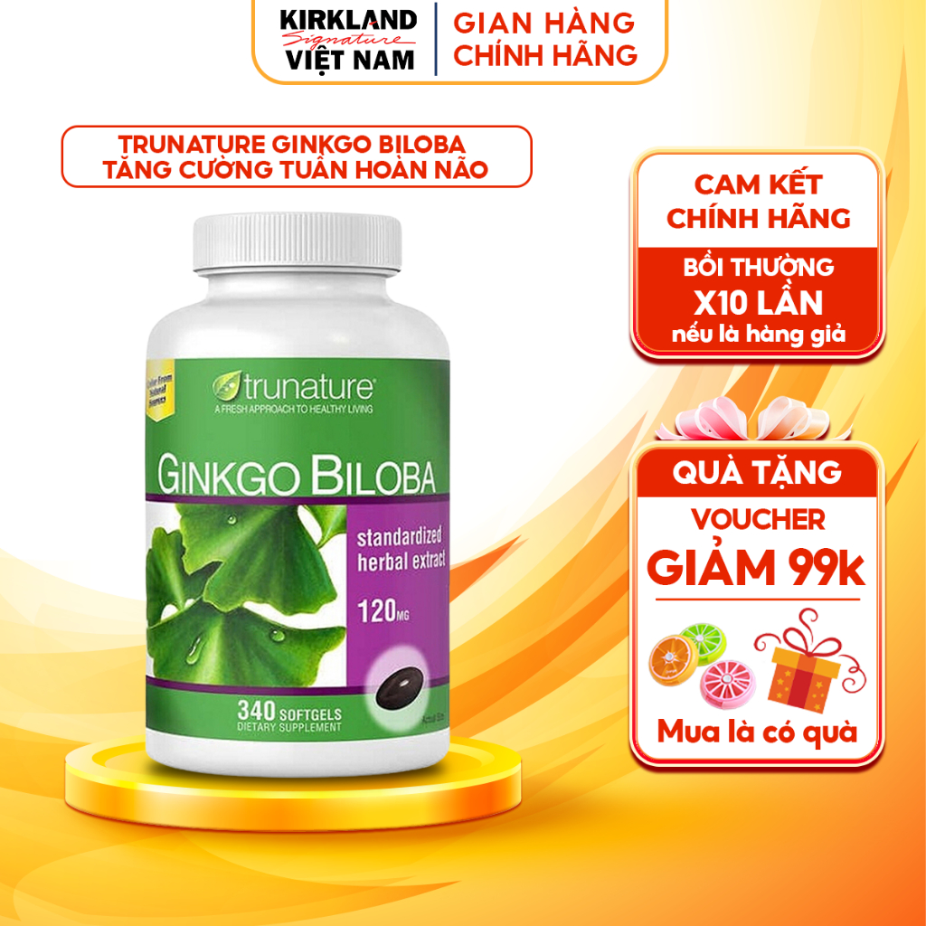 Trunature Ginkgo Biloba Kirkland Signature 340 American brain tonic