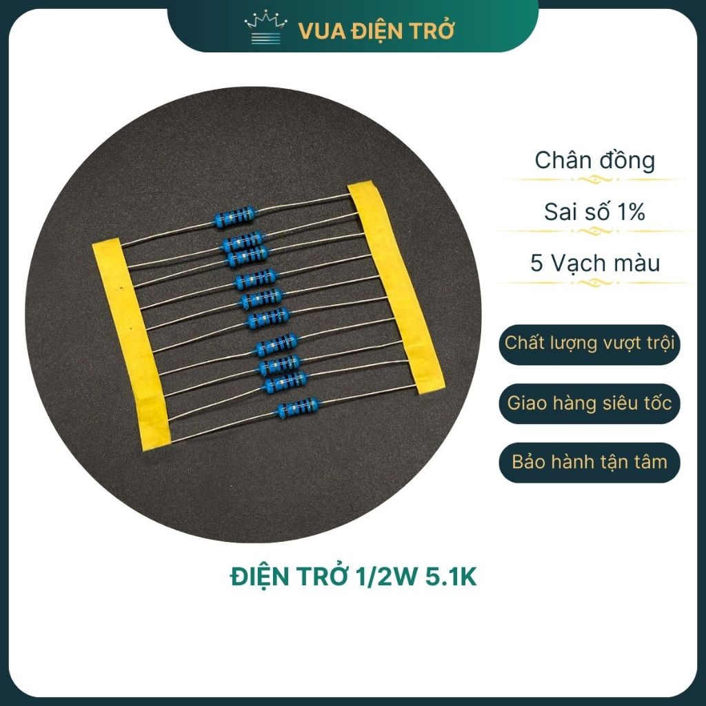 Resistor 1 / 2W 5 1% Copper Pin (Bag Of 10) Resistor King | Shopee Malaysia