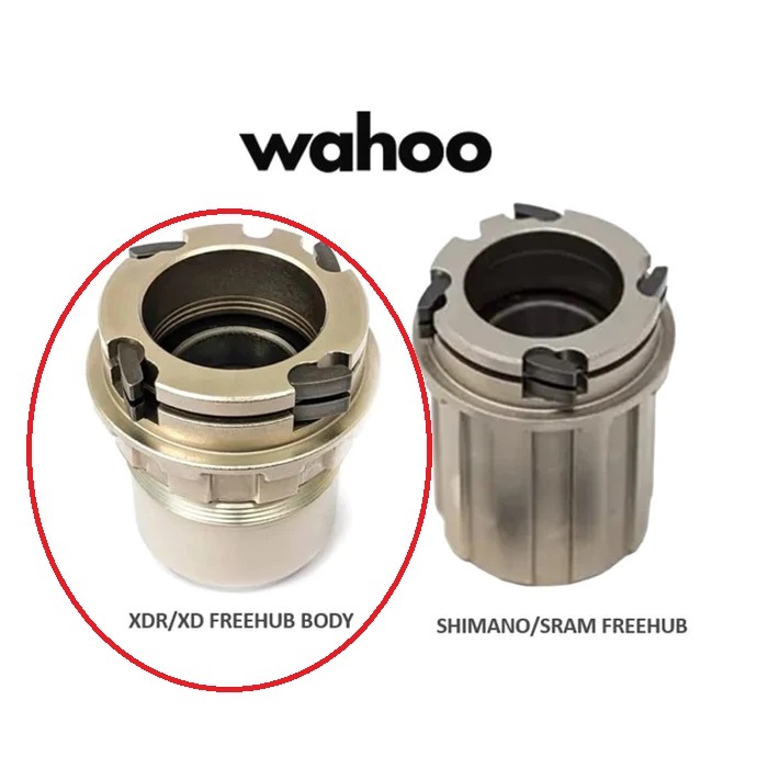 Sram XD /XDR Freehub body Jar, Used For Wahoo Kickr / Kickr Core