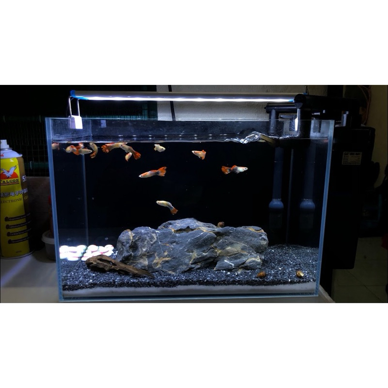 Platinum Black Sand Black Quartz Cover The Background To Decorate Aquariums, Aquariums