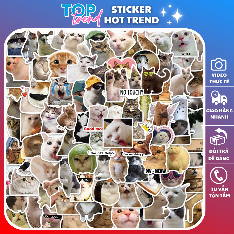 Cute Sticker SET of 100 MEME CATS, helmet stickers, book decorations ...