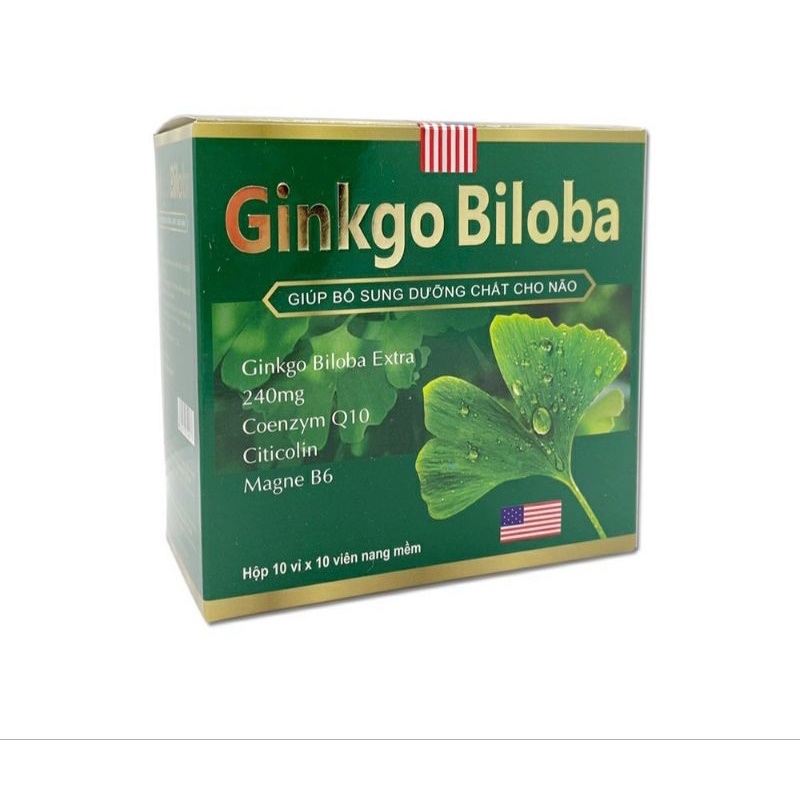 Active Blood Nourishing Brain GINKGO BILOBA 240mg Dark Green Helps