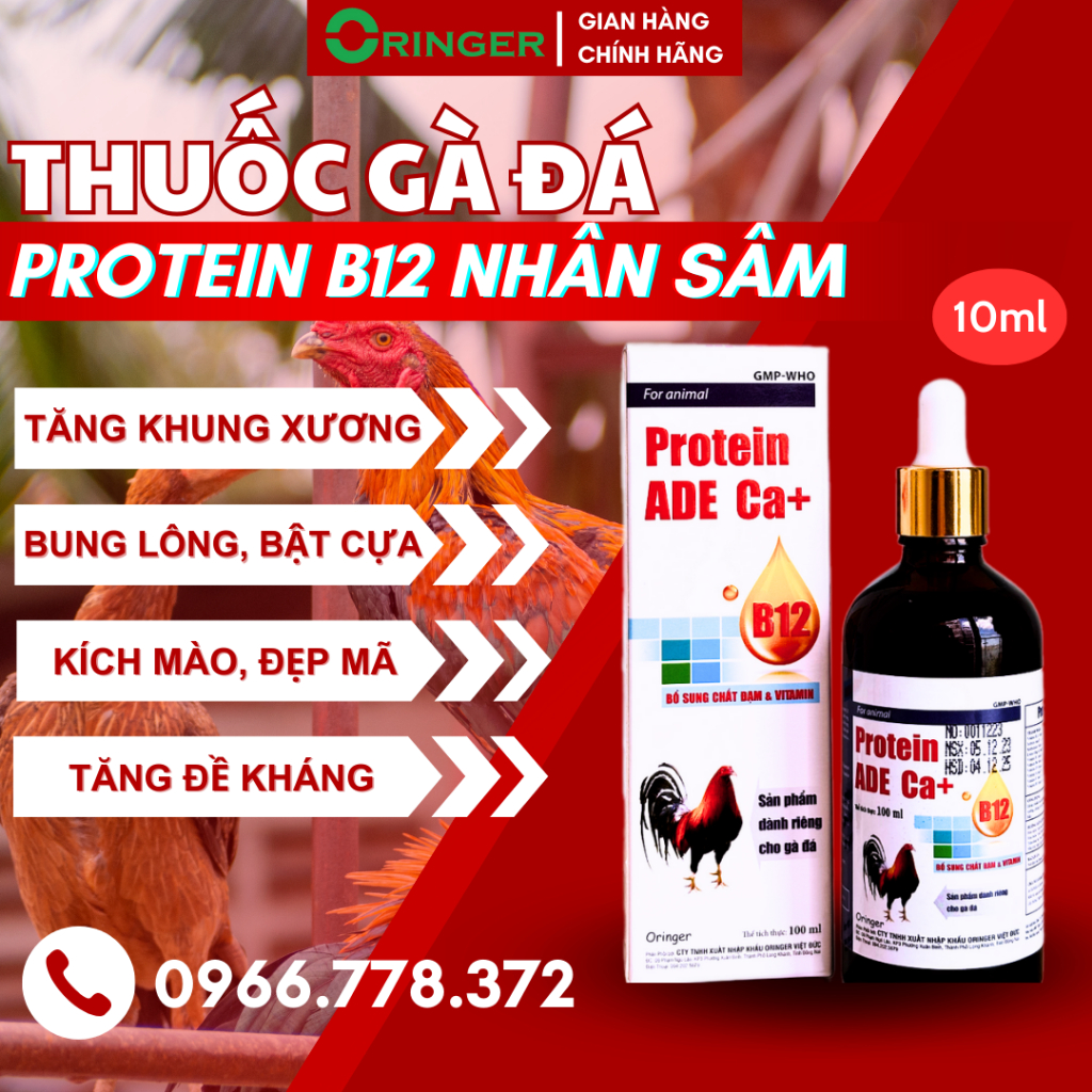 (10ml) Protein b12 Ginseng Extract, Chicken Protein Exclusively For ...