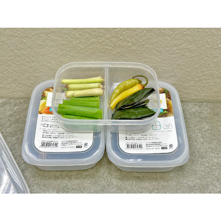 Japanese Nakaya 2-layer food container, divided into compartments ...