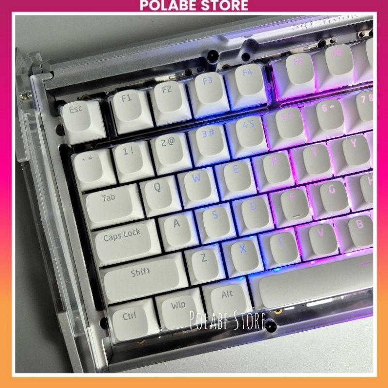 Keycap OEC Pudding WHITE BLUE SA Profile ABS material Polabe Store ...