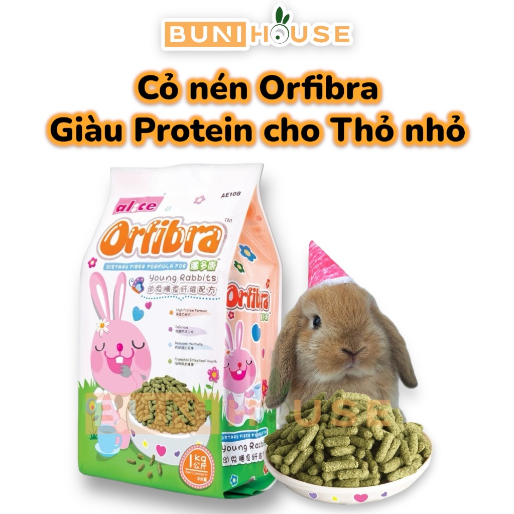 Protein-Rich Foods For Active Rabbits