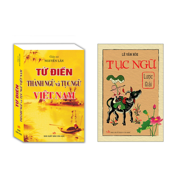 Books - Combo 2c Bilingual And Vietnamese Dictionary + Solution Comb ...