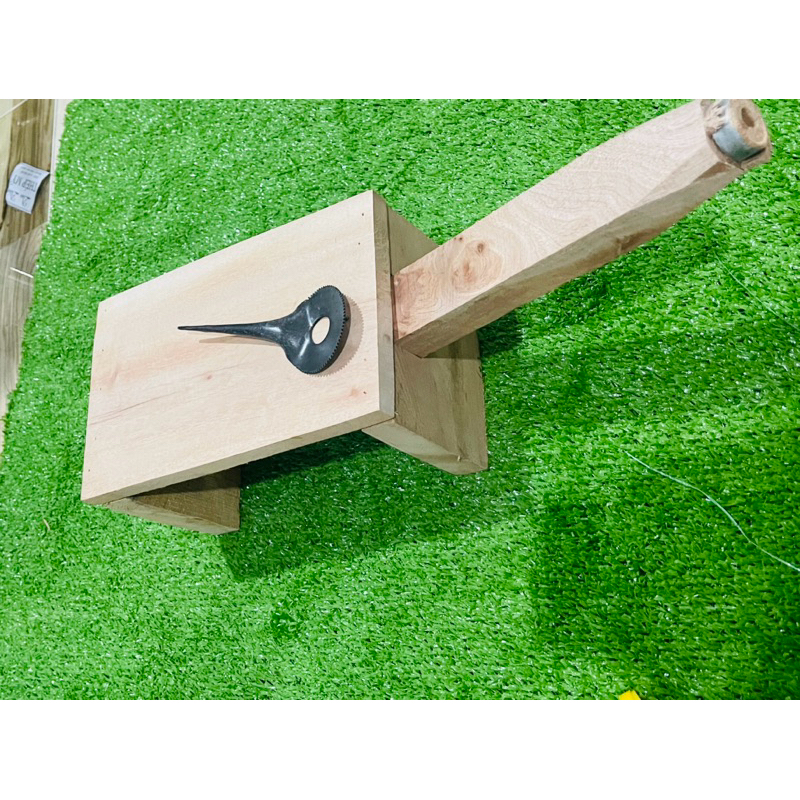 Coconut scraper (tree) | Shopee Malaysia