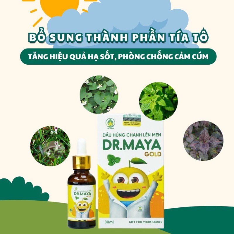 [New Model] Minion Gold Dr Maya Lemon Basil Essential Oil 30ml Shopee Malaysia