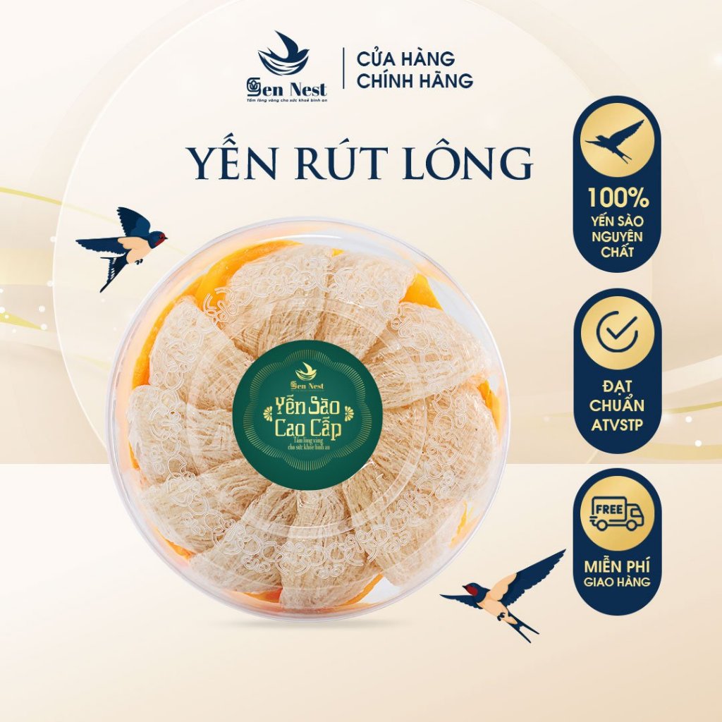 Khanh Hoa pure bird's Nest, premium handmade without impurities, good