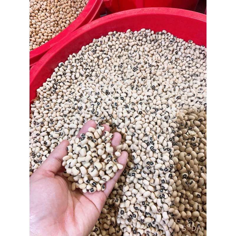1 kg Of White Beans (Crabs Eye) Shopee Malaysia