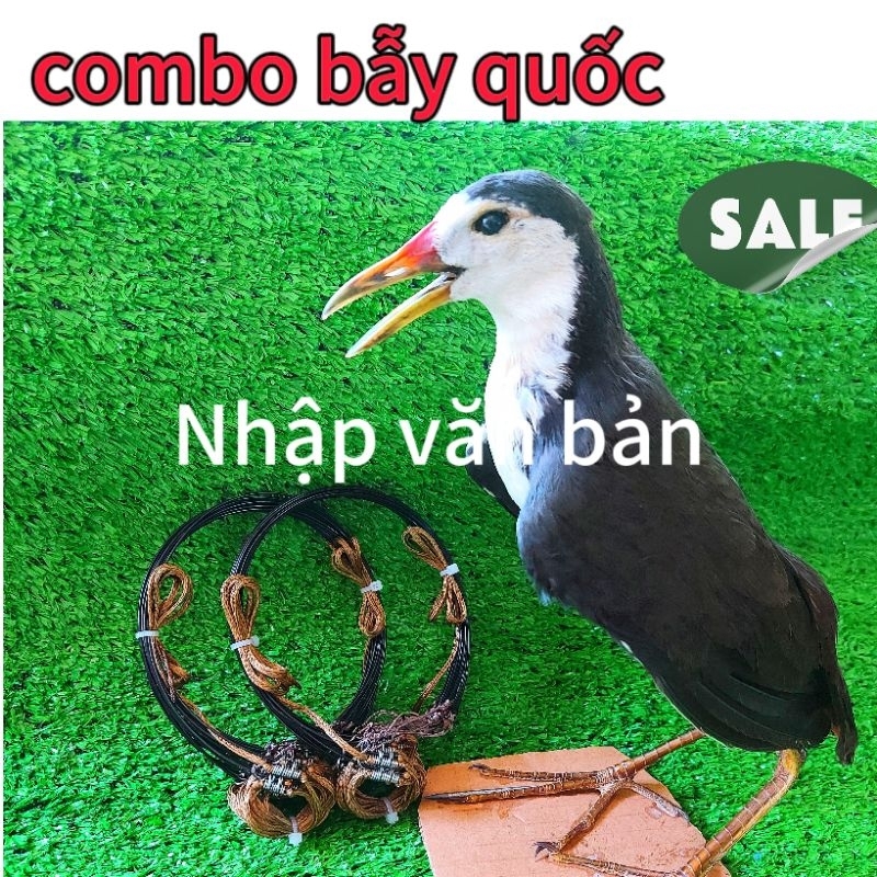 National Trap Wire Rings, Water Pump Glue Shopee Malaysia