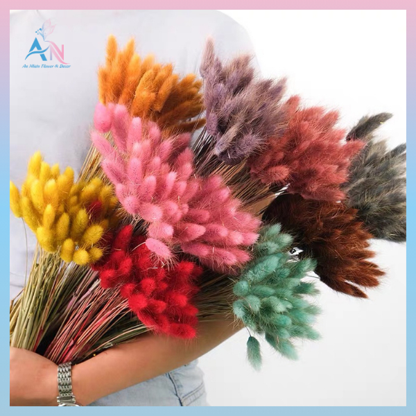Cute Dried Rabbit Tail Grass Bouquet - Decorative Colorful Dried Rabbit ...