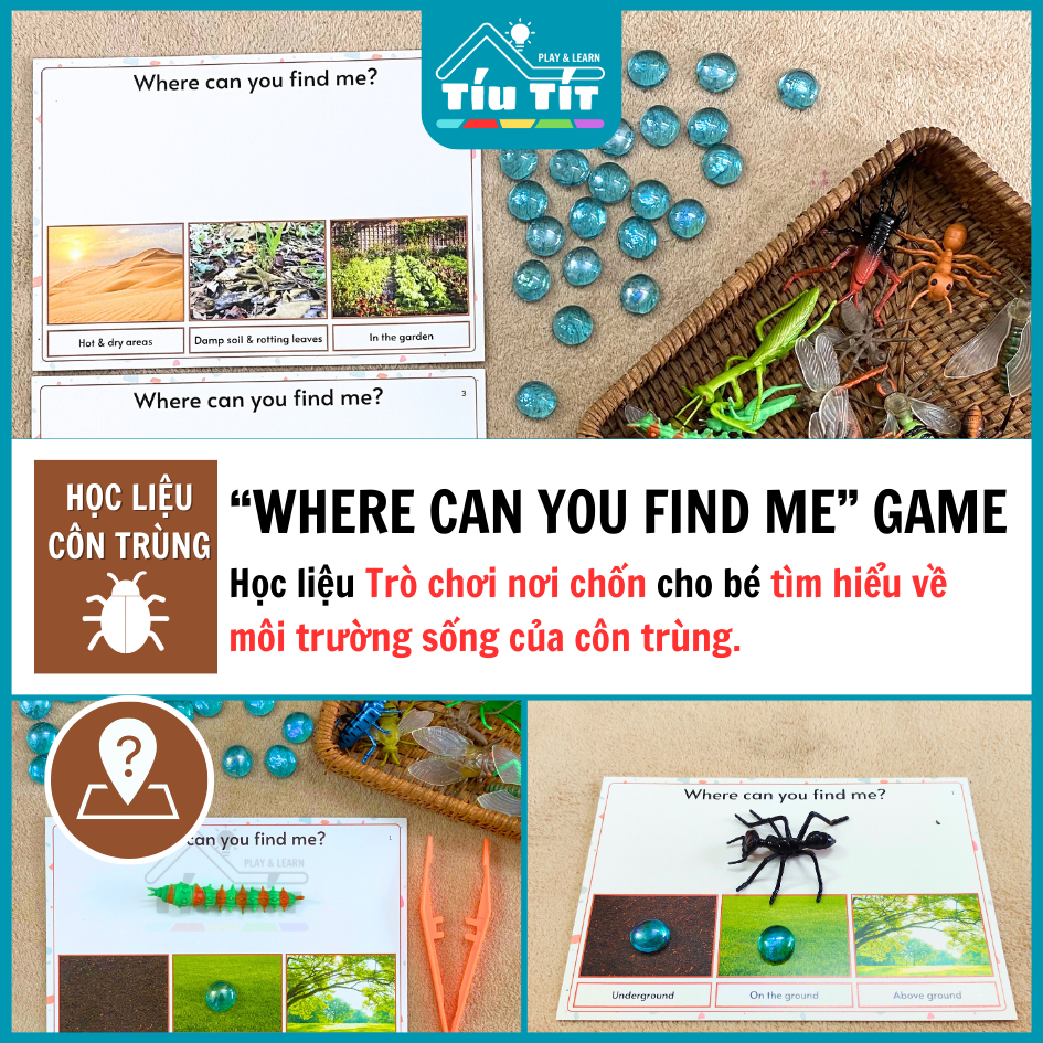 Learning Insect Materials - A Place Game For Children To Learn About ...