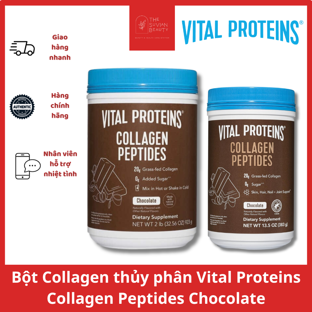 [DATE 08/2025] Vital Proteins Collagen Peptides Chocolate Hydrolyzed