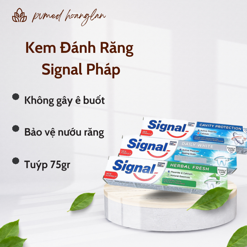 Signal France Toothpaste 75ml | Shopee Malaysia