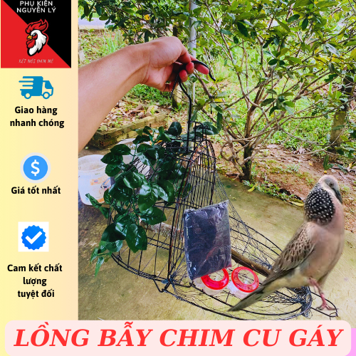 Cuckoo trap feathers come with accessories | Shopee Malaysia