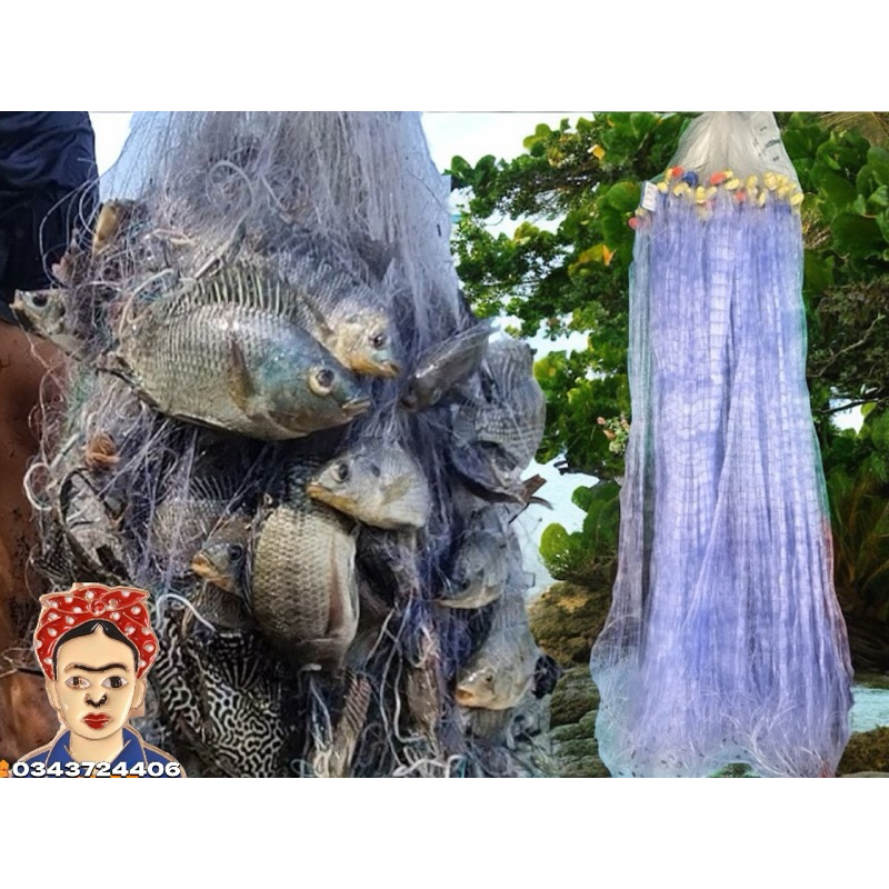 3-screen fishing net, 80cm high, 100 meters long, mesh from 3 and a ...
