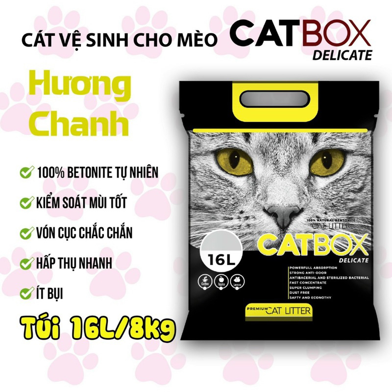 Catbox delicate Cat Litter 8L | Shopee Malaysia