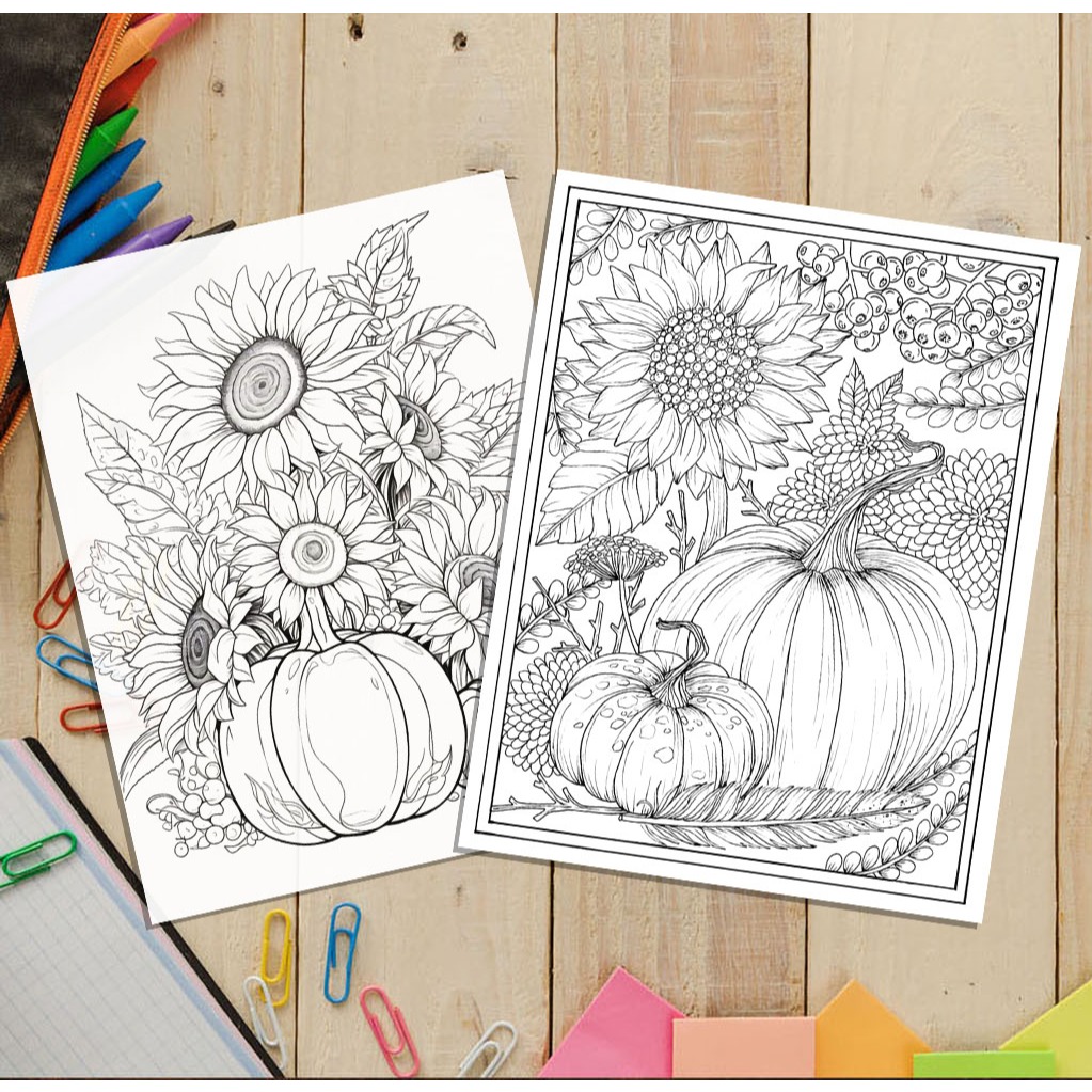 Flower and Pumpkin Coloring Pages 12 pictures, Beautiful Thick Paper ...