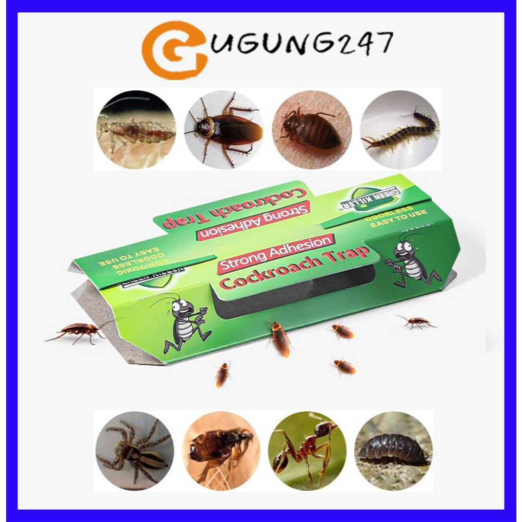 Cockroach trap box, cockroach insect stick without using chemicals ...