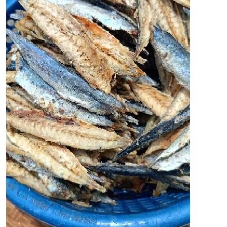 Delicious boneless dried steamed scad fish, soft meat, not salty ...