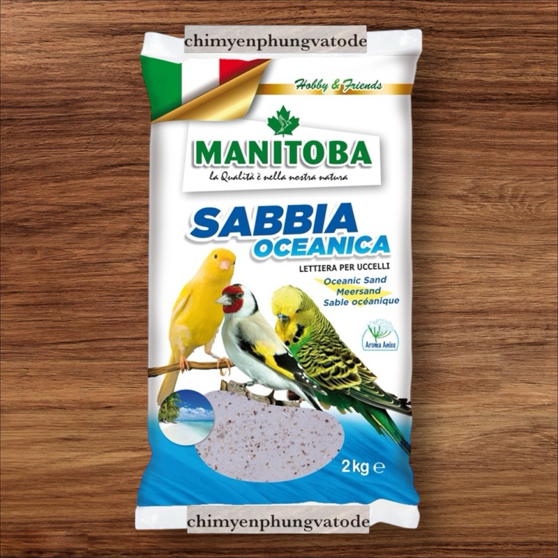 Mastina Sabbia Minerale Bianca 20gr Ricostruzione Plastica Metallo Legno - Foto 6