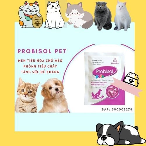 Digestive enzymes Seal box of 50 packs for dogs and cats Probisol Pets ...