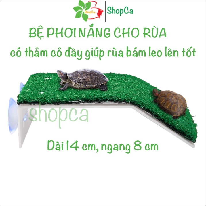 Sunbathing platform, climbing trough for turtles, Standing trough ...