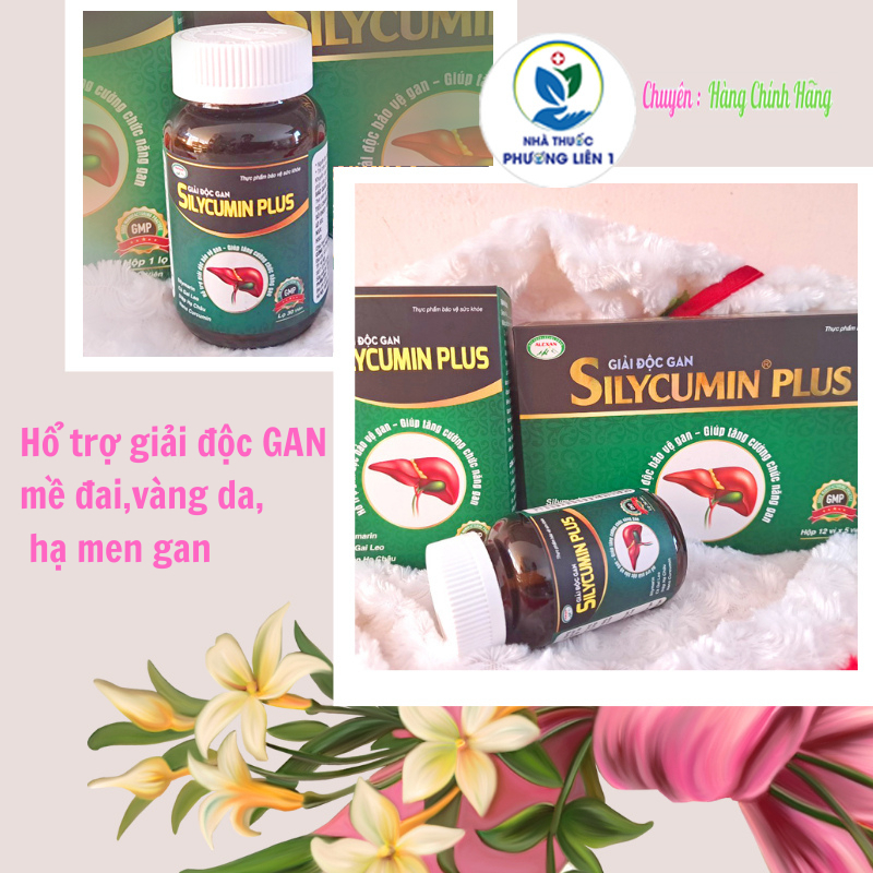SILYCUMIN PLUS - supports reducing symptoms of hives, jaundice, loss of ...
