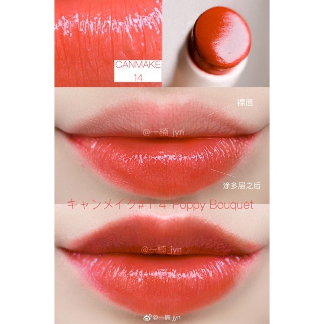 Canmake Stay-On Balm Rouge Shopee Malaysia