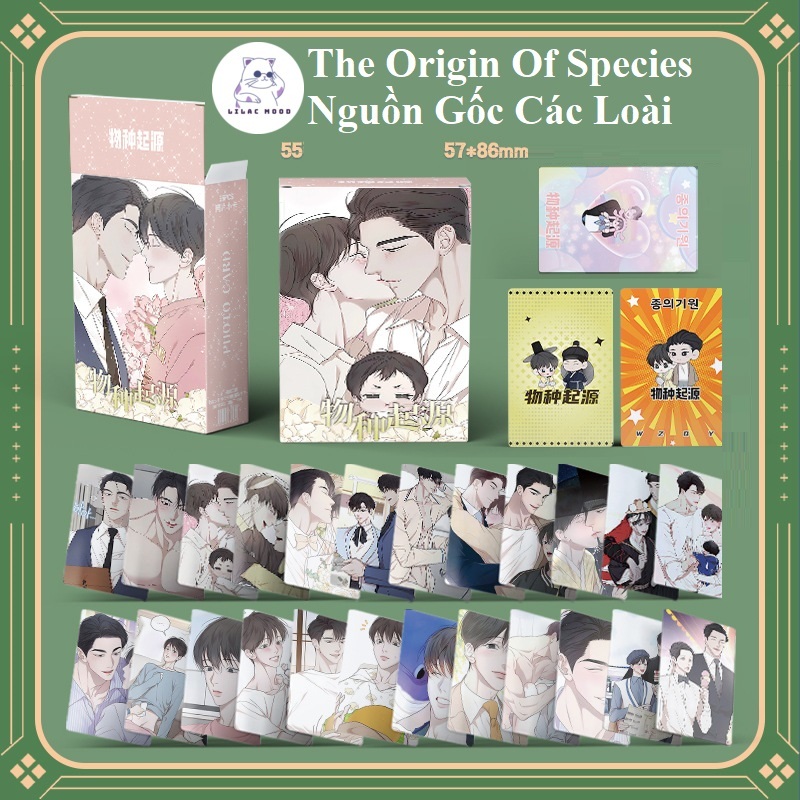 available-new-2-box-of-55-cards-the-origin-of-species-origin-of