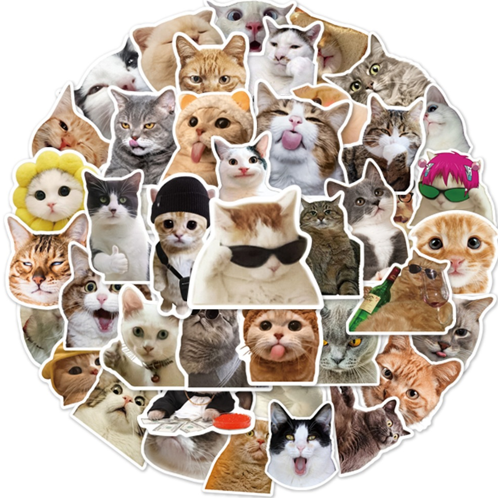 50 Cat Meme Stickers with many waterproof patterns, decorative stickers ...