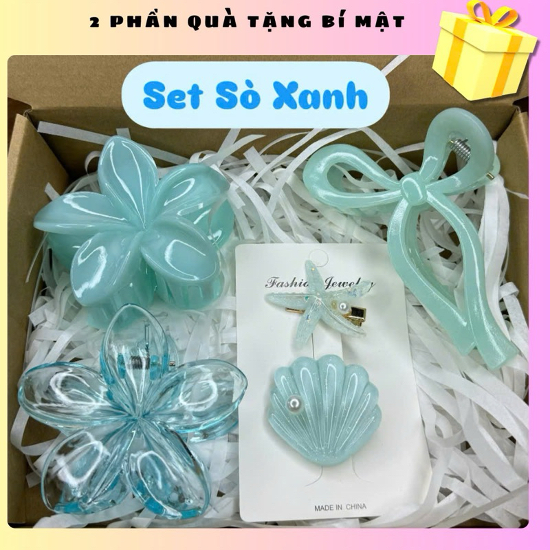 Set of 6 Beach Clamshell Clips and Porcelain Flowers with Box and CUTE ...