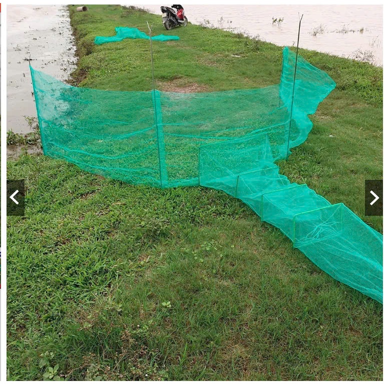 Sign blocking rivers and culverts - catching shrimp and shrimps of all ...