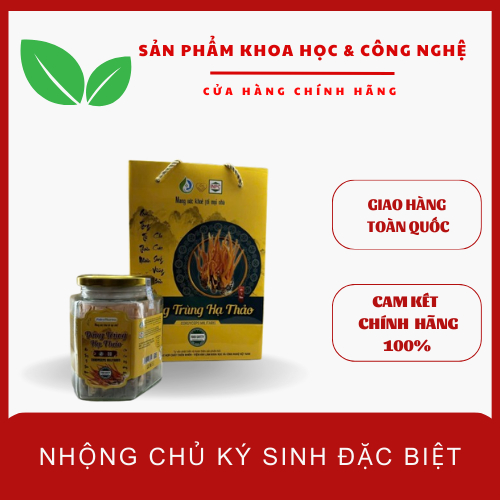 [SPECIAL Prisation MASTER]Pure cordyceps host silkworm pupae