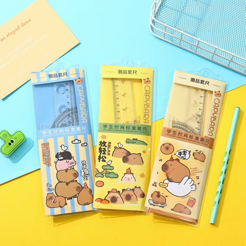 Learning tool ruler set 4 Piece ruler, eke, capybara protractor ...