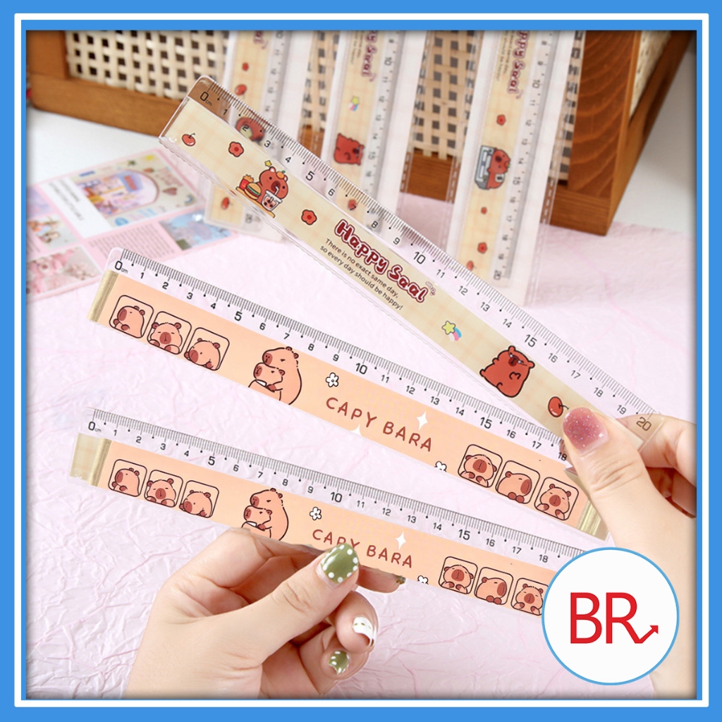 Capybara ruler, CINAMOROLL, LABUBU, car... 15cm - capybara bear school ...