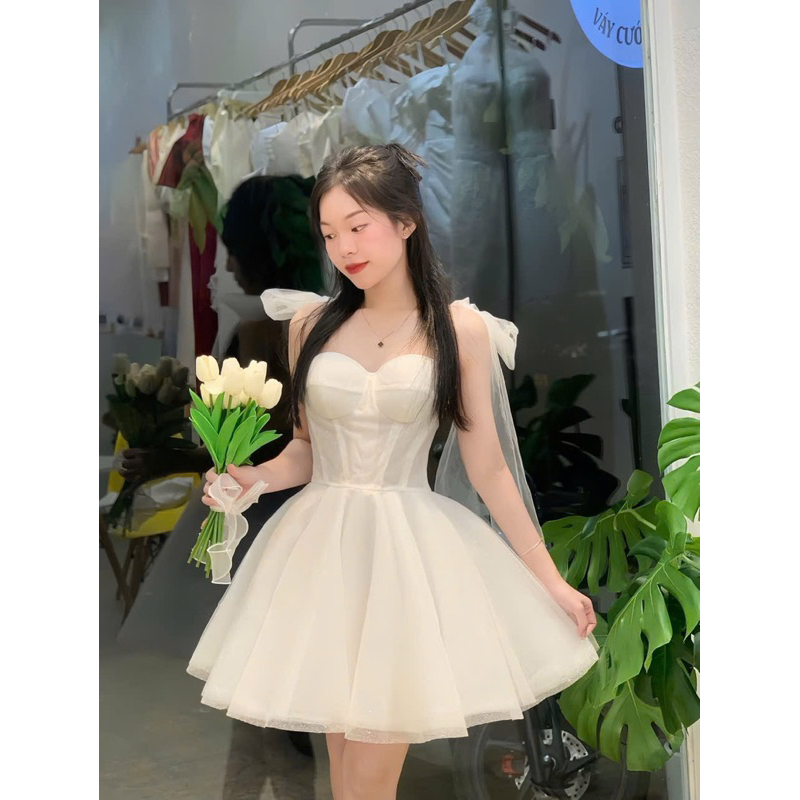 Princess Mesh Dress, Mesh Swing Dress for Party, EXTREMELY BEAUTIFUL ...