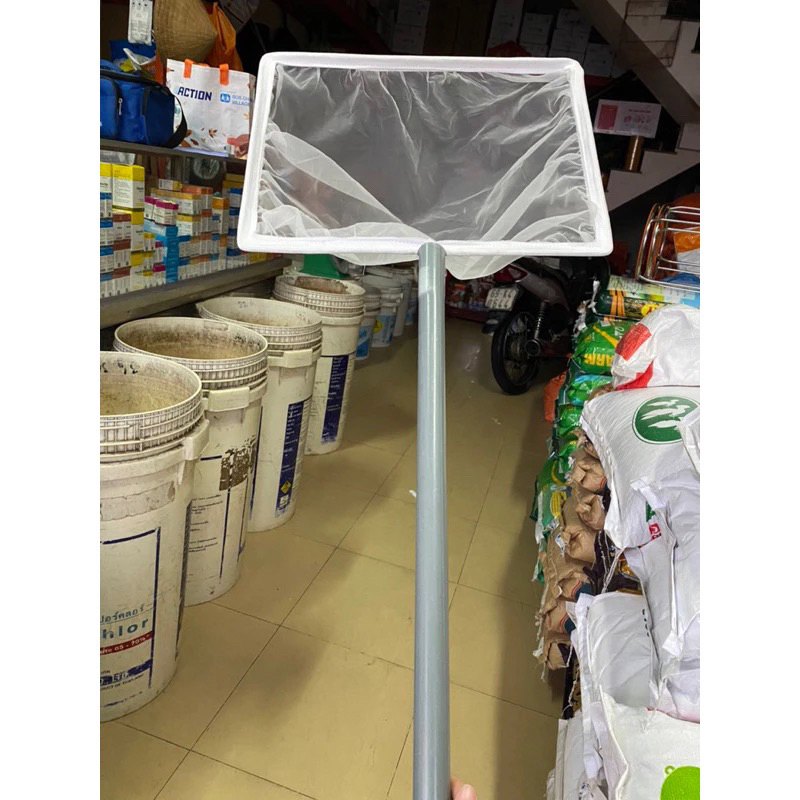 Plastic handle racket 50x45cm used to scoop shrimp, fish, moss in ...