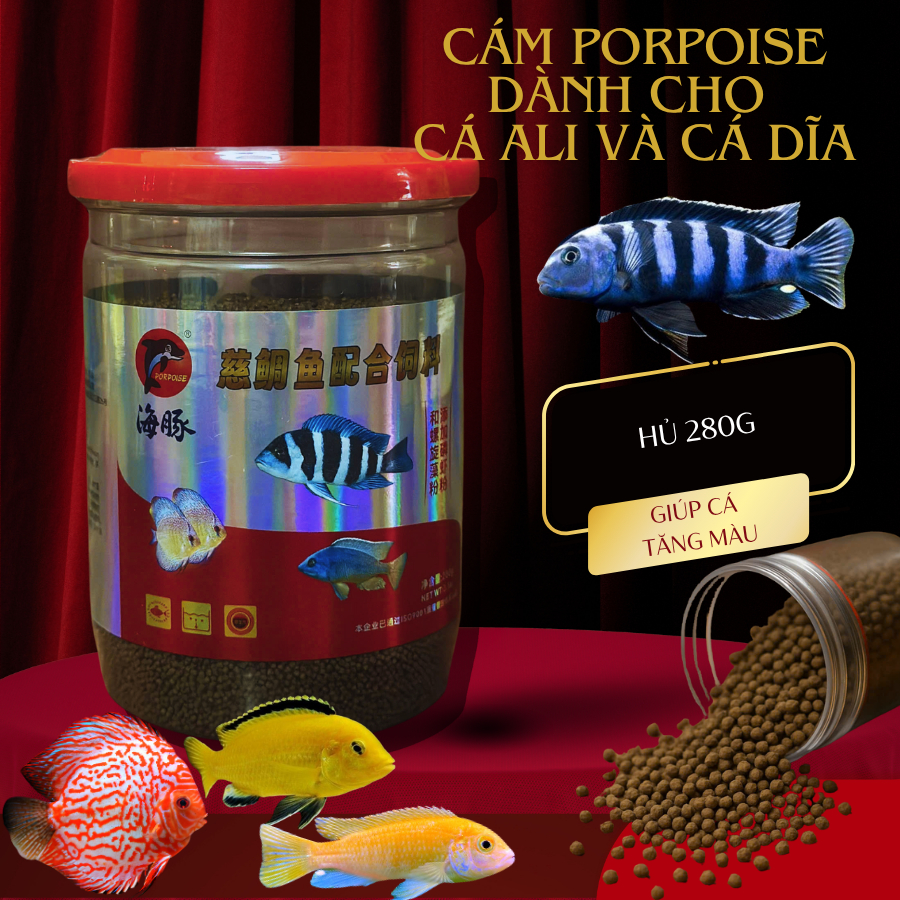 PORPOISE Food for Ali Fish - Discus Fish, Specialized Bran to Help Fish ...