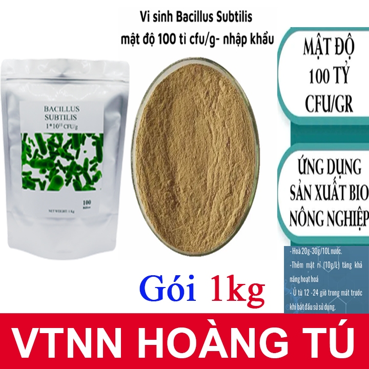 Bacillus subtilis spores biological solution in agriculture - 1Kg ...