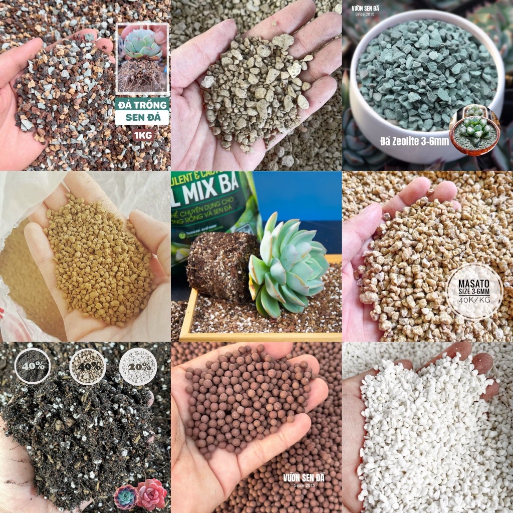 Specialized mineral stones for growing succulents, spreading surfaces ...