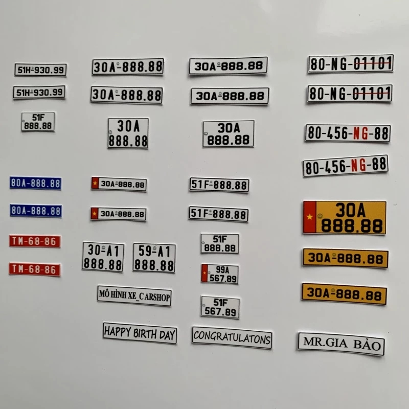Set of 2 License Plates Model of front and rear plates with many ...